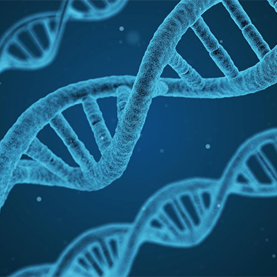 تصویری از رشته DNA انسان